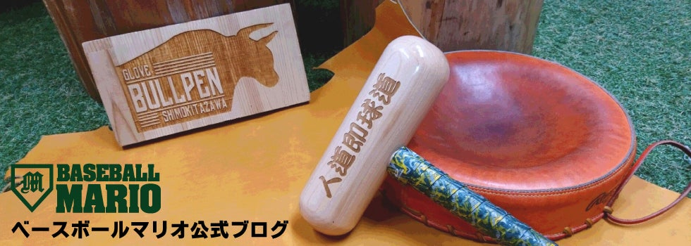 ブログへのリンク